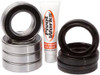 PIVOT WORKS Wheel Bearing Kit & Seal Kit, 52-0344