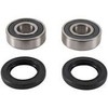 PIVOT WORKS Wheel Bearing Kit & Seal Kit, 52-0406