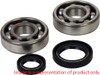 HOT RODS Main Bearing/Seal Kit, 421-K075