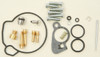 ALL BALLS Carburetor kit, 226-1437