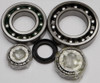 ALL BALLS Differential Bearing & Seal Kit, 22-52038