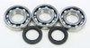 ALL BALLS Crankshaft Bearing & Seal Kit, 22-41077