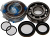 ALL BALLS Crankshaft Bearing & Seal Kit, 22-41097