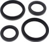 ALL BALLS Differential Seal Kit, 22-520505