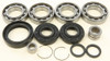 ALL BALLS Differential Bearing & Seal Kit, 22-52100