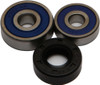 ALL BALLS Wheel Bearing & Seal Kit, 22-51166