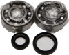 ALL BALLS Crankshaft Bearing & Seal Kit, 22-41016