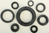 VERTEX Oil Seal Kit, 182-2110