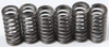 EBC Redline Clutch Springs, 15-17210