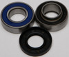 ALL BALLS Chaincase Bearing and Seal Kit, 141-9019