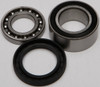 ALL BALLS Chaincase Bearing and Seal Kit, 141-9010