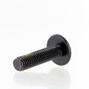 Can-Am OEM Torx Screw (M5 x 20) 10 Pack, 250000724