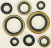 VERTEX Oil Seal Kit, 182-2274
