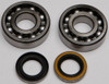 ALL BALLS Crankshaft Bearing & Seal Kit, 22-41044