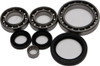 ALL BALLS Differential Bearing & Seal Kit, 22-52073