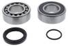 ALL BALLS Chaincase Bearing and Seal Kit, 141-9072