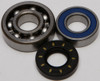 ALL BALLS Chaincase Bearing and Seal Kit, 141-9028