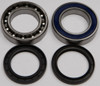 ALL BALLS Chaincase Bearing and Seal Kit, 141-9065