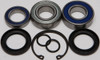 ALL BALLS Chaincase Bearing and Seal Kit, 141-9068