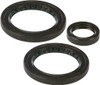 ALL BALLS Differential Seal Kit, 22-520565