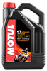 MOTUL 7100 4T Oil, 82-2055
