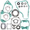 VERTEX Complete Gasket Kit w/Oil Seal, 681-1253