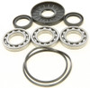 ALL BALLS Differential Bearing & Seal Kit, 22-52105