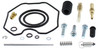 ALL BALLS Carburetor kit, 226-10094