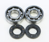 ALL BALLS Crankshaft Bearing & Seal Kit, 22-41035