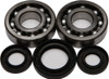 ALL BALLS Crankshaft Bearing & Seal Kit, 22-41028