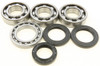 ALL BALLS Crankshaft Bearing & Seal Kit, 22-41087