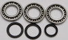 ALL BALLS Differential Bearing & Seal Kit, 22-52076