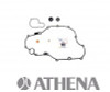 ATHENA Water Pump Repair Kit, 67-25209