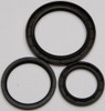 ALL BALLS Differential Seal Kit, 22-520335