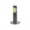 Can-Am New OEM Torx Truss Screw M6 X 20 Pack of 2, 250000350