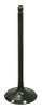 BRONCO Intake Valve, 183-09199