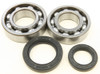ALL BALLS Crankshaft Bearing & Seal Kit, 22-41037