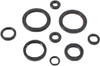 VERTEX Oil Seal Kit, 182-2989