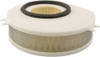 HIFLOFILTRO Air Filter, 551-4913