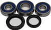 ALL BALLS Wheel Bearing & Seal Kit, 22-51388
