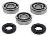 ALL BALLS Crankshaft Bearing & Seal Kit, 22-41117