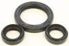 ALL BALLS Differential Seal Kit, 22-520285