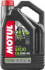 MOTUL 5100 4T Oil, 82-20891
