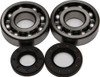 ALL BALLS Crankshaft Bearing & Seal Kit, 22-41009