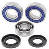 ALL BALLS Chaincase Bearing and Seal Kit, 141-9070