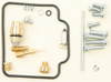 ALL BALLS Carburetor kit, 226-1080