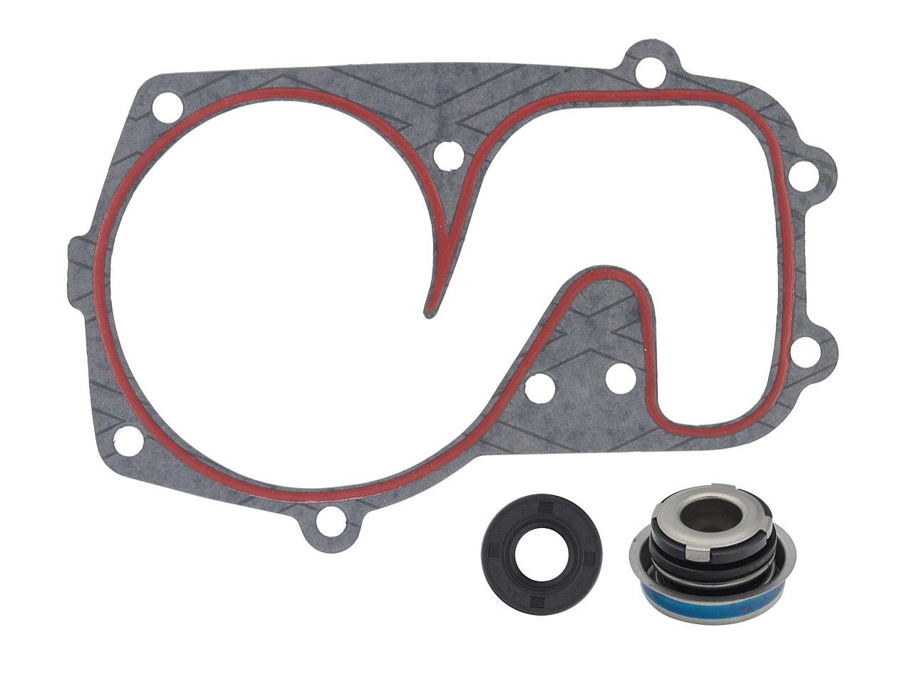 SP1 Water Pump Repair Kit, 125-90931
