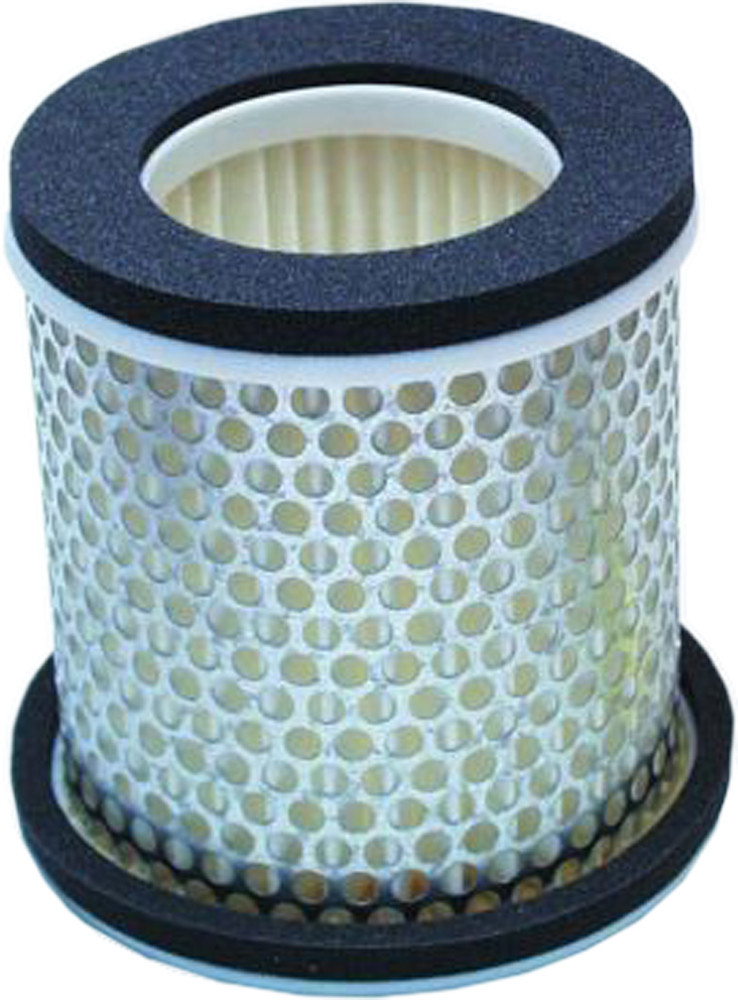 HIFLOFILTRO Air Filter, 551-4603