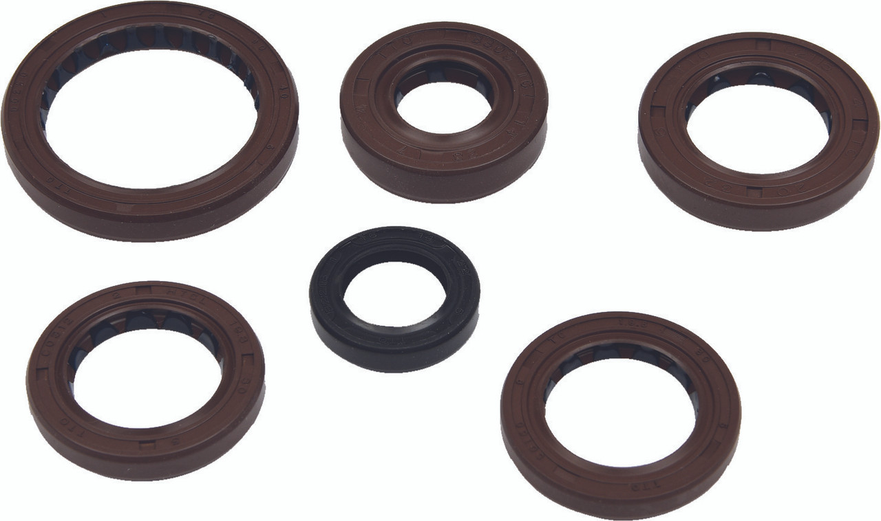 Vertex New Oil Seal Set, 182-2376