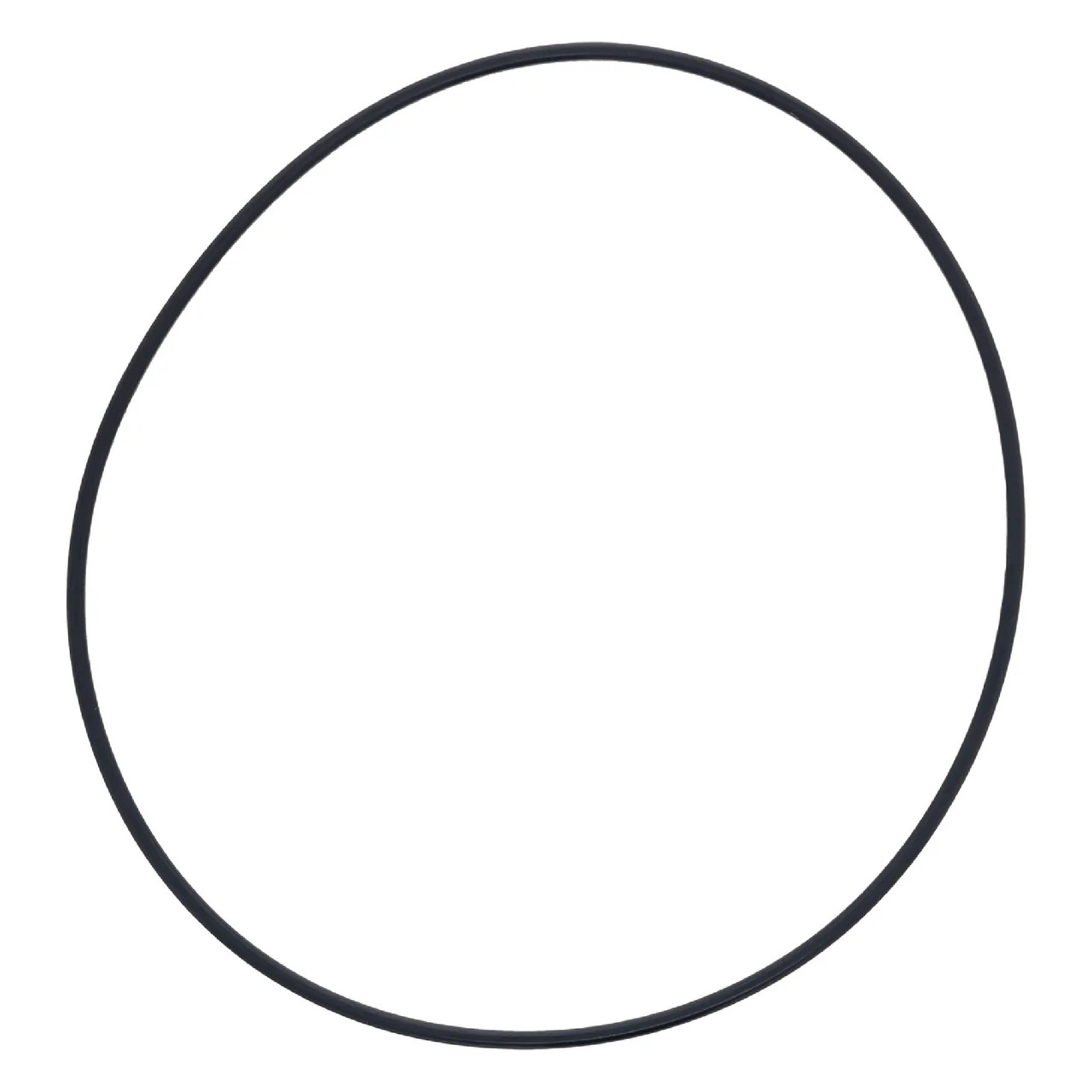 Polaris OEM Rubber O-Ring (119 x 124 x 2.5), 5415031